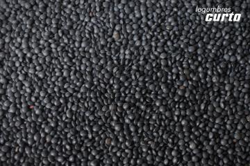 LENTEJA CAVIAR          Lentejas caviar son unas lentejas de pequeño tamaño y de color negro y albumen amarillo.