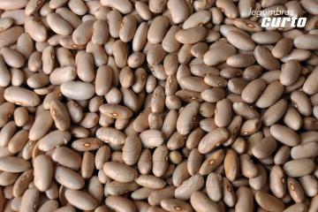 ALUBIA CANELA              De grano alargado, redondeado y de color canela. Sus granos son homogéneos y rapidez de cocción.