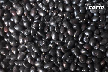 ALUBIA REDONDA NEGRA                       Alubias de color negro mate, de tamaño mediano, rica y nutritiva.
