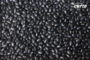 ALUBIA NEGRITA                       De color negro mate, esféricas y de tamaño pequeño. El caldo de cocción es oscuro y de sabor intenso.