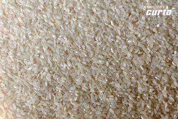ARROZ ESPECIAL Redondo Blanco  El arroz es el segundo cereal más producido en el mundo. Tiene ausencia de gluten. Es nutritivo, bajo en grasas y rico en hidratos de carbono complejos.